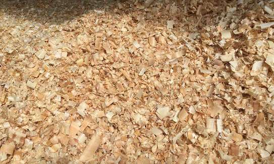 Wood shavings(maranda) image 2