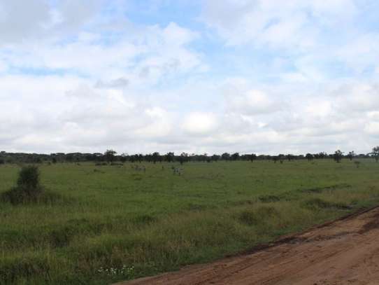 12,141 m² Commercial Land at Maanzoni Conservancy image 14