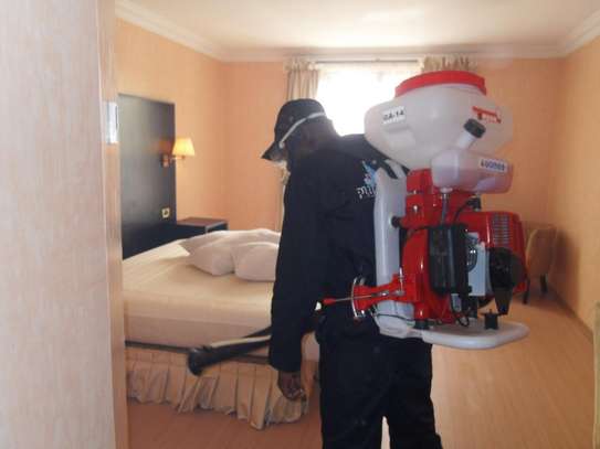 BED BUG Fumigation and Pest Control Services in Mombasa Road image 2