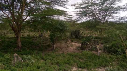 100,000 Acres Affordable Land Are for Sale in Malindi-Kilifi image 2