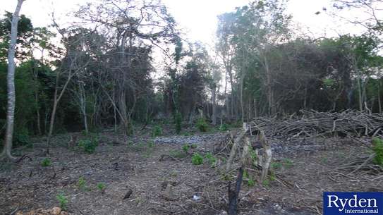 Residential Land at Chale Island image 7