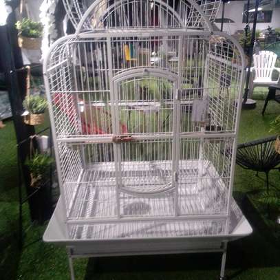 Parrot cages for sale image 1