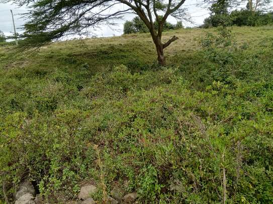 Lovely One Acre Land in Ongata Rongai image 4