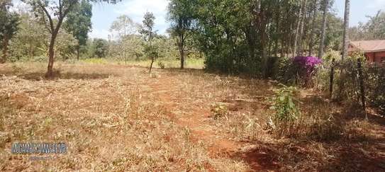 Land-Mugoya, Muthatari image 1