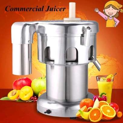 Stainless Steel Juicer Heavy Duty WF-A3000 Commercial Juice image 1