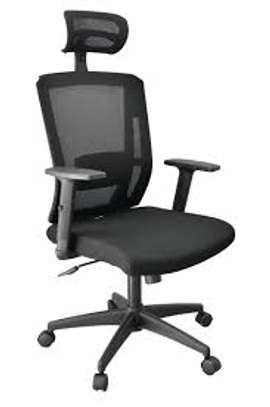 Ergonomic Mesh Adjustable Height Office Chair image 1