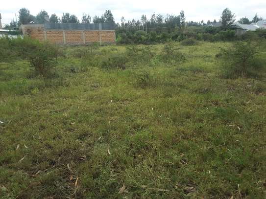 Beautiful One Acre Land in Ongata Rongai image 6