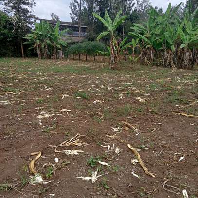 40*80ft plots for sale at Makuyu near Makuyu Teachers c image 1
