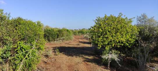 30 ACRES PROPERTY FOR SALE IN NAROMORU WITH A RIVER FRONTAGE image 6