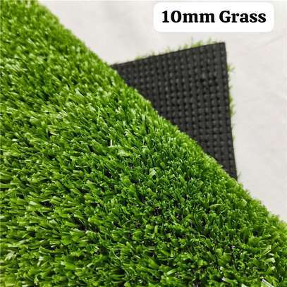 10MM GRASS PERFECT FOR YARDS image 3