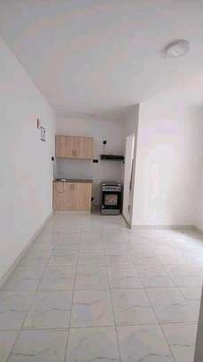 1bedroom  to let in thindigua image 7