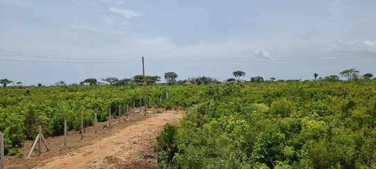 residential land for sale in Diani image 18
