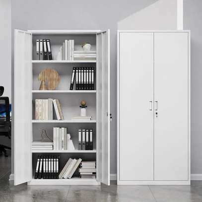 Office Cabinet: 2-Door Metallic Office Cabinet image 3