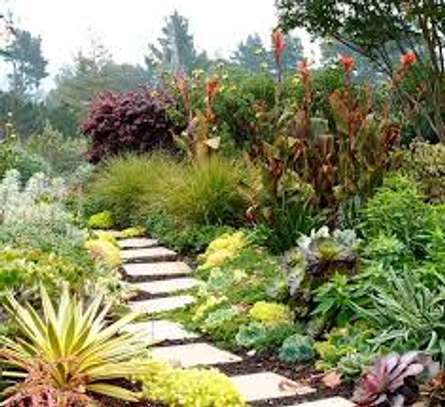 Best Landscaping & Gardening Services-Nakuru Experts image 14