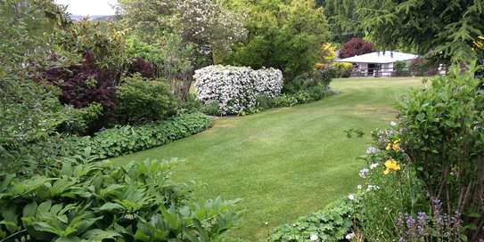 Bestcare Gardening & Landscaping | Home Gardening Services | Garden maintenance.We are here to help! Contact Us image 4