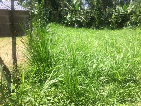 0.41 Acres prime Land For Sale in Malava, Kakamega County image 3