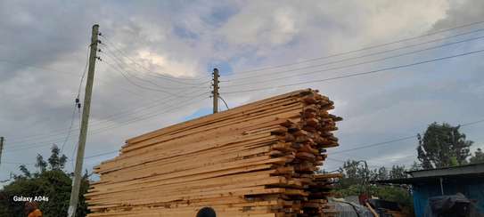 Cypress Timber for sale image 4