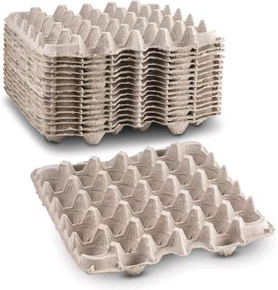 100pcs manilla egg tray/carton egg tray image 2