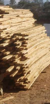 Cypress timber image 2