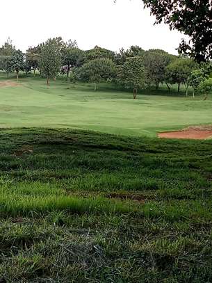 Migaa resort and golf course image 2