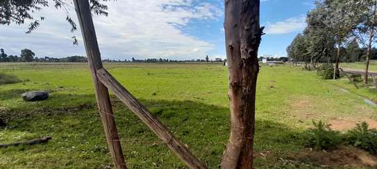 1/8 ACRE TOUCHING TARMAC IN KIMUMU RADA ,ELDORET image 7