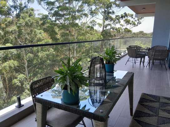 4 Bed Apartment with En Suite in Spring Valley image 20