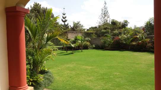 5 Bed House with En Suite at Faith Avenue image 5