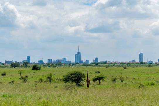Nairobi National Park Half Day image 6