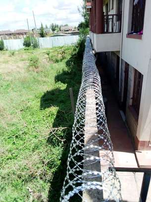 730mm Double Galvanized Razor Wire Supplier in Kenya image 5