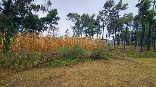 0.173 ac Residential Land at Ngong image 1