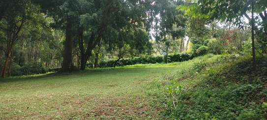 Residential Land at 5 Acres At120M Per Acre image 6