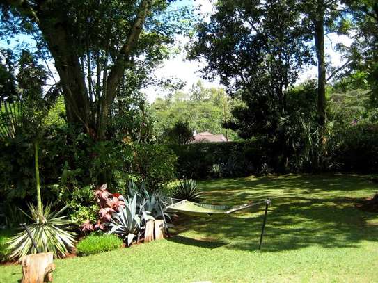 FOR SALE – PRESTIGIOUS PROPERTY LAVINGTON, NBI (0.8 ACRES) image 10