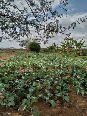 30 acres of land for sale in Makindu Makueni County image 1