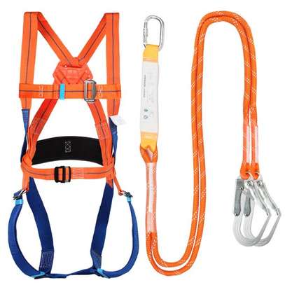Fully Body Safety Harness image 2