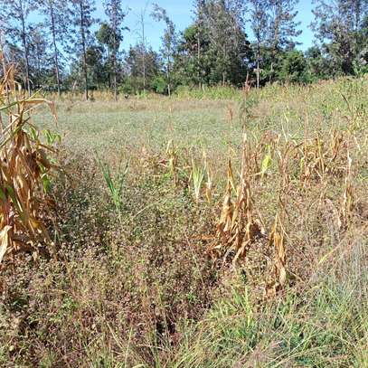 ½ ACRE LAND AT KENOL TOWN IN MURANGA COUNTY image 3