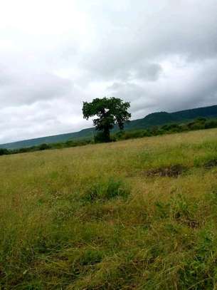 500 acres along Athi-River in Kibwezi Makueni County image 7