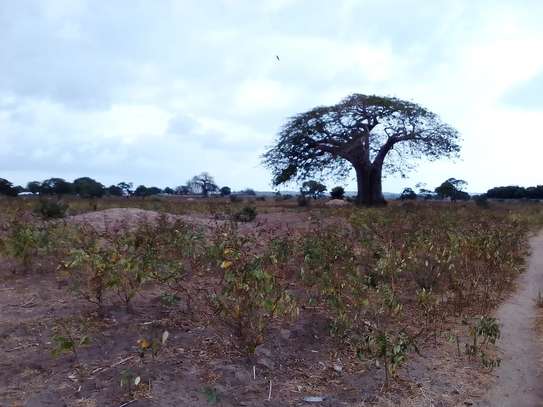 1/4 An Acre Plots For Sale Weighbridge,Malindi image 5