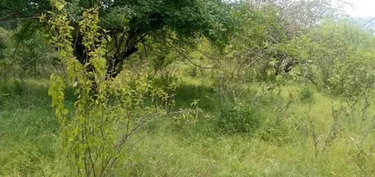 100 Acres Available for Sale in Mutomo Kitui County image 5