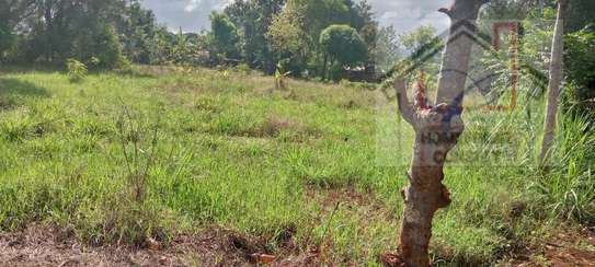 Prime ½acre,Clean title image 1