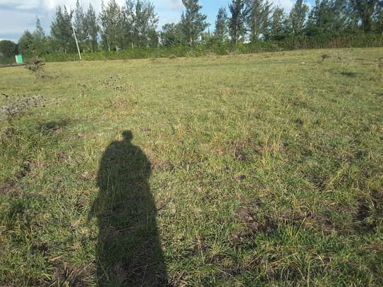 Lovely One Eighth Plots in Ongata Rongai image 11