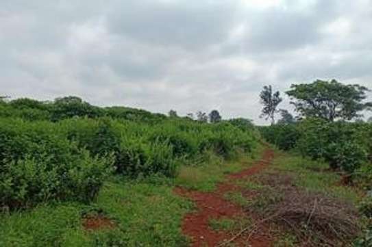 Land at Gathambara image 1