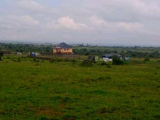 Isinya plots for sale image 2