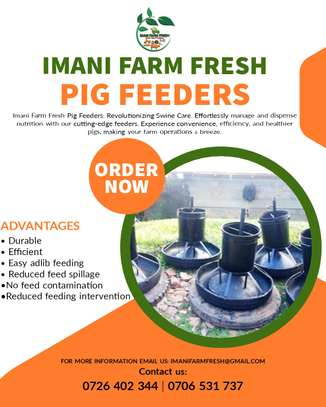 automatic pig feeder,Tyre model image 7