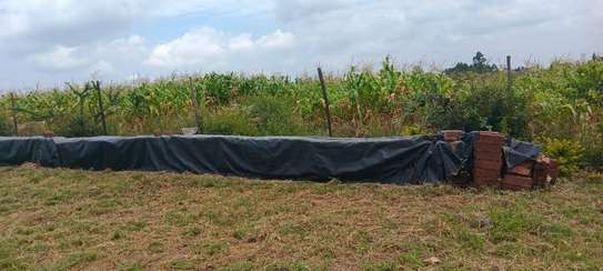 Weteithie creek plots on sale - Weteithie image 3