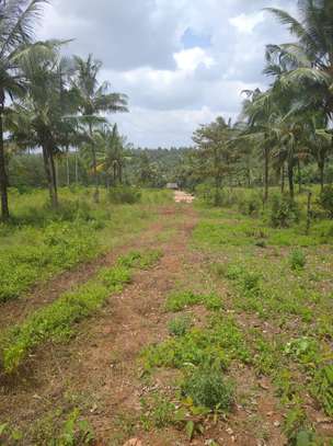 Quarter acre piece of land for sale at Vipingo-Gongoni 2477 image 8