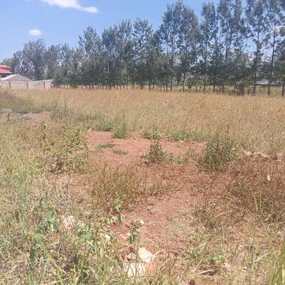 50*100ft plots for sale at Kenol Katipanga in Muranga county image 2