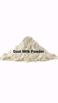 Goat Milk powder image 1