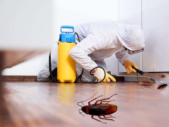 Are you tired of having unwanted visitors in your facilities such as mice, bed bugs, and ants? Bestcare Services is here to help you get rid of pests! Our dedicated and highly trained professionals will work hard to ensure that your facility is pest-free. With the best technology for eliminating pet problems, we got your back! We specialise in general pest control, timber inspections, and pre-purchase building inspections for apartments, high-rise units, commercial premises, industrial factories, real estate, and body corporate works. Call us, and we will get it done!  We provide a professional service with our experts focused on solutions for your general pest control needs including treatments for the following: Cockroach Treatments AntsBed bugsBees Mosquitoes Spiders Fleas Silverfish Rats Mice Mites Termites Wasps And much much more Get back your control of a clean and pleasant facility—contact us today for quick and reliable solutions for your pest problems. If you aren’t sure which service is right for you, give us a call or contact us here, so we can create a custom-fit solution that is best for your  building. Our application process is simple, effective, and applied at a convenient time that works with all your needs. image 3