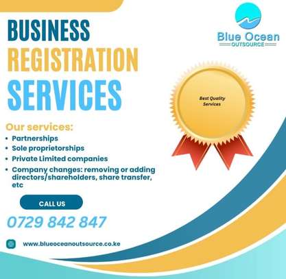 Company  Registration Services image 1