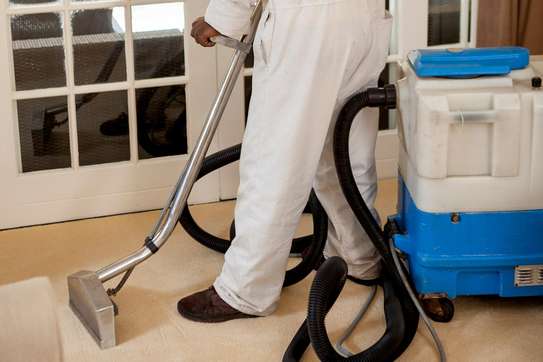 Carpet Cleaning Services.Lowest price guarantee.Free quote. image 1